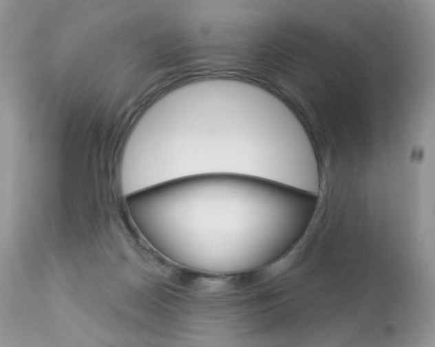 X0000113100170200908281001