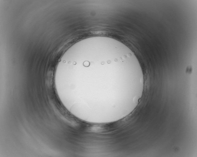 X0000113100171200908281001