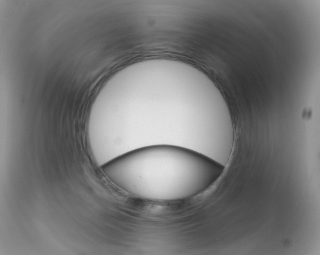 X0000113100174200908281001