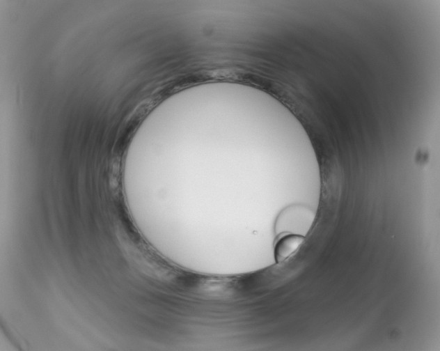X0000113100175200908281001