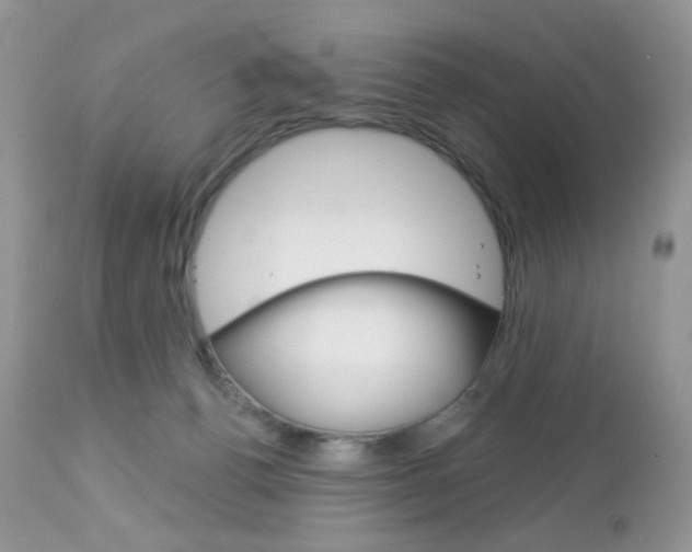 X0000113100176200908281001