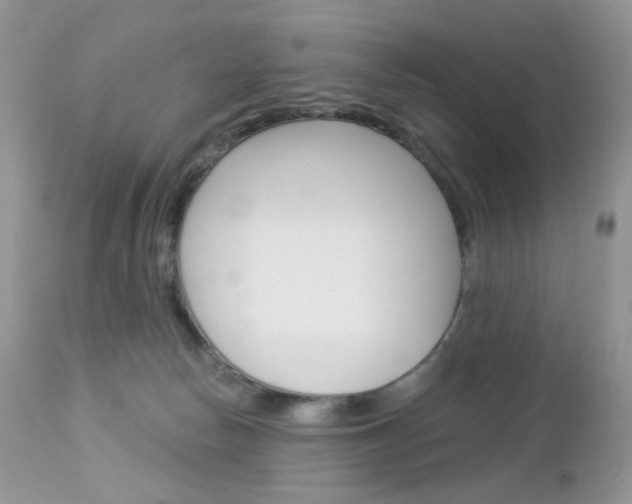 X0000113100178200908281001