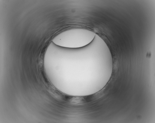 X0000113100179200908281001