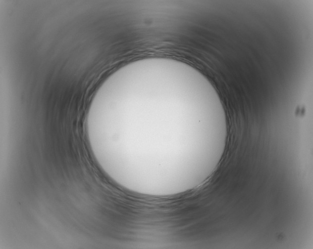 X0000113100180200908281001
