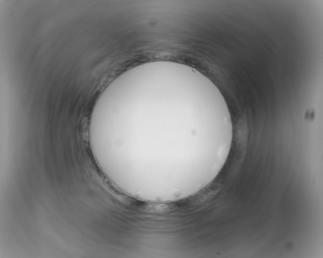 X0000113100181200908281001