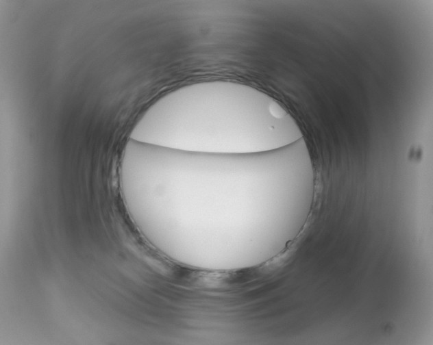 X0000113100182200908281001