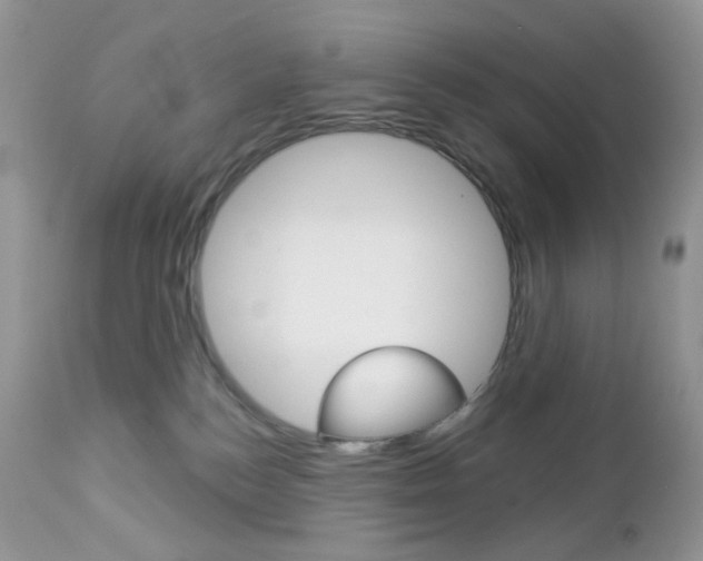 X0000113100184200908281001