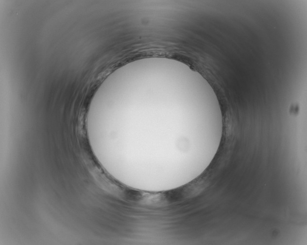 X0000113100185200908281001