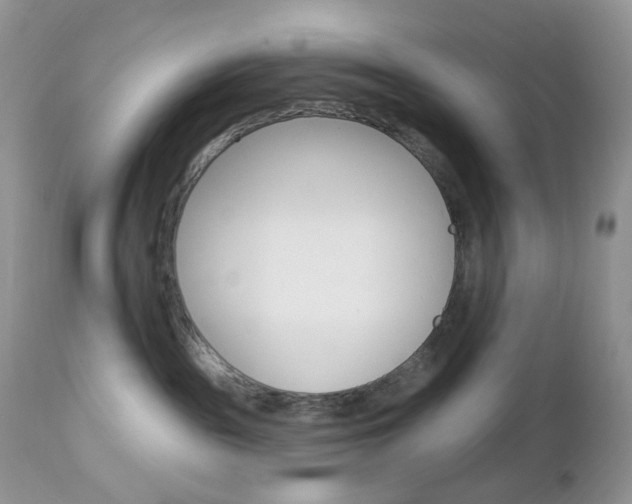 X0000113100189200908281001