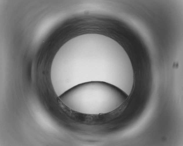 X0000113100190200908281001