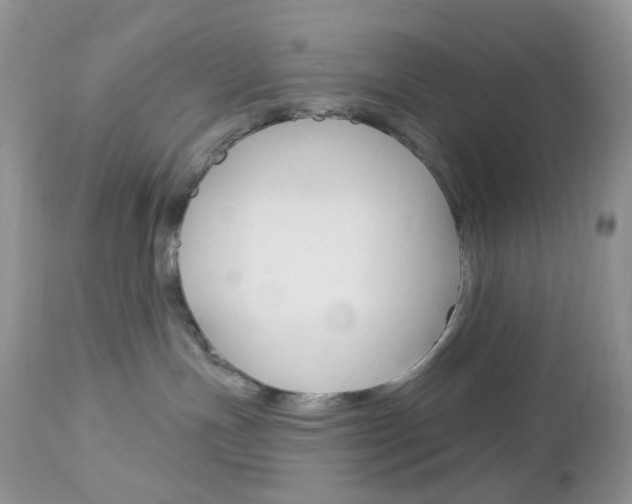 X0000113100191200908281001