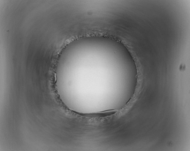 X0000113100192200908281001
