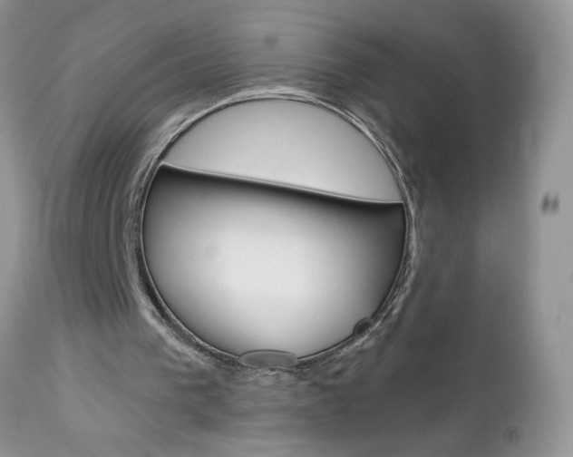 X0000113100193200908281000