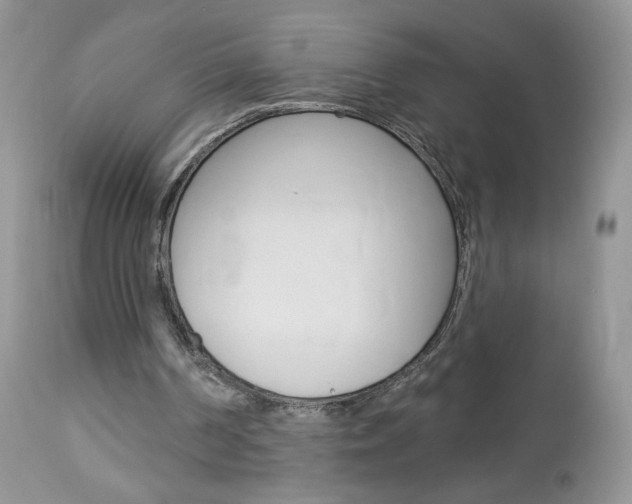 X0000113100194200908281000