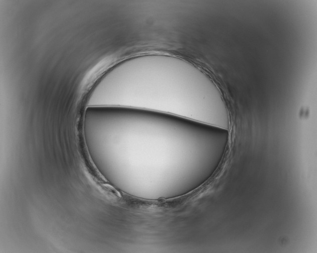 X0000113100197200908281000