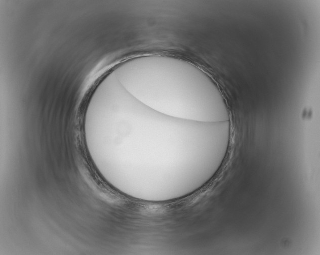 X0000113100198200908281000