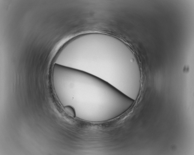 X0000113100200200908281000