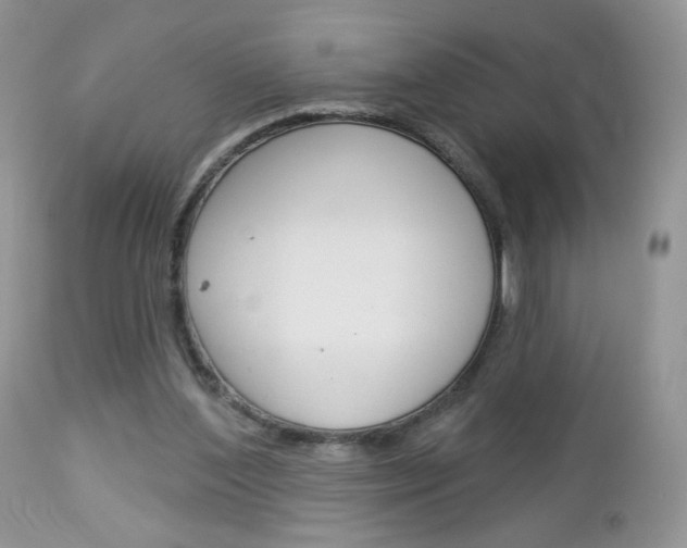 X0000113100204200908281000