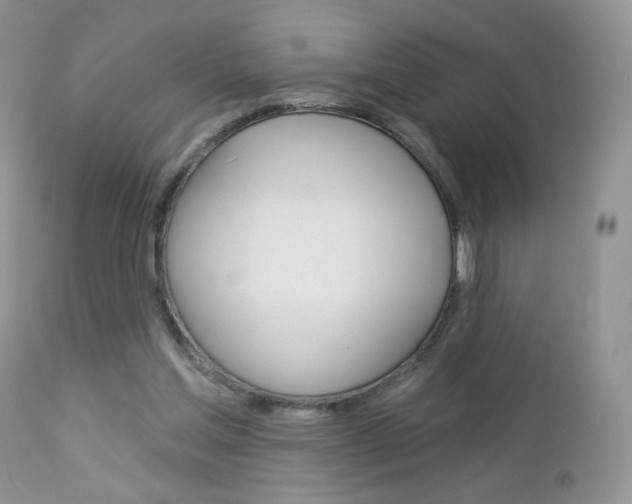 X0000113100205200908281000