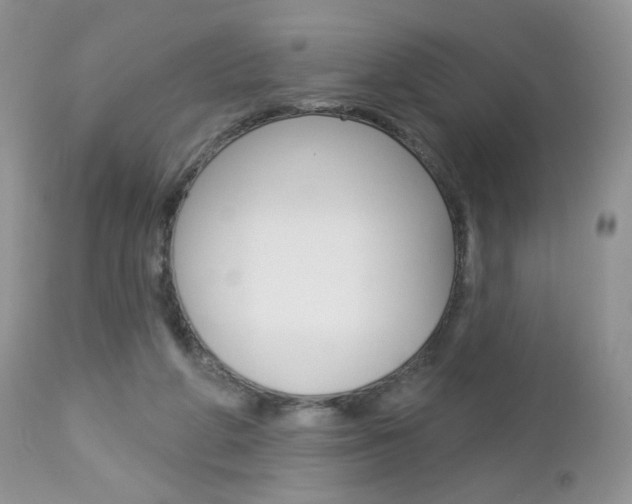 X0000113100210200908281000