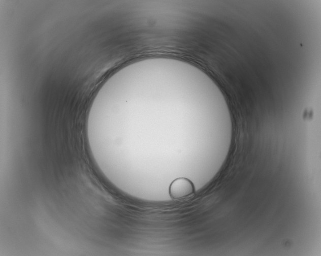 X0000113100211200908281000
