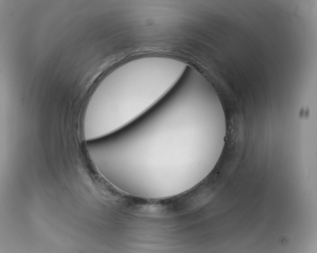 X0000113100212200908281000