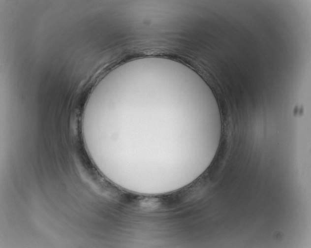 X0000113100214200908281000