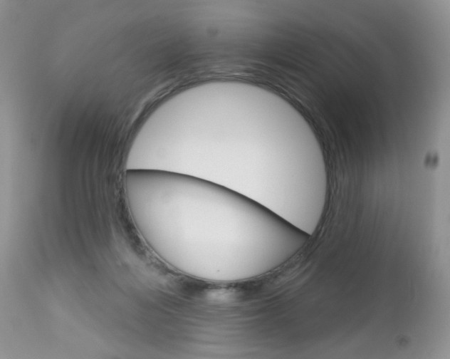 X0000113100216200908281000