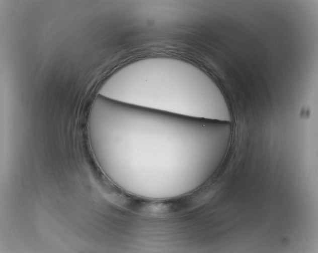 X0000113100217200908281000