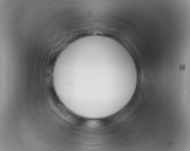 X0000113100218200908281000
