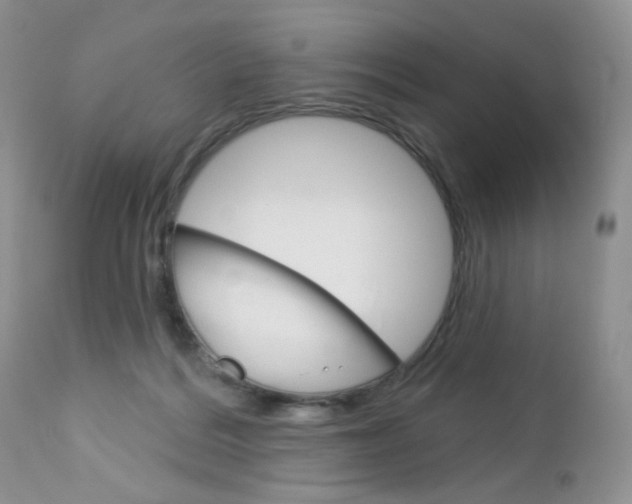 X0000113100220200908281000