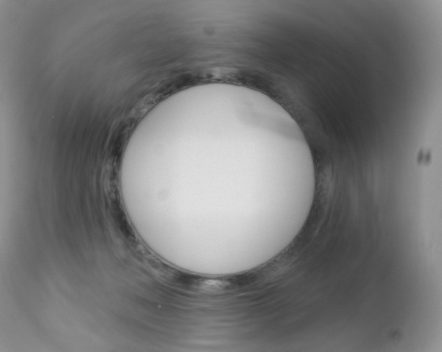 X0000113100222200908281000