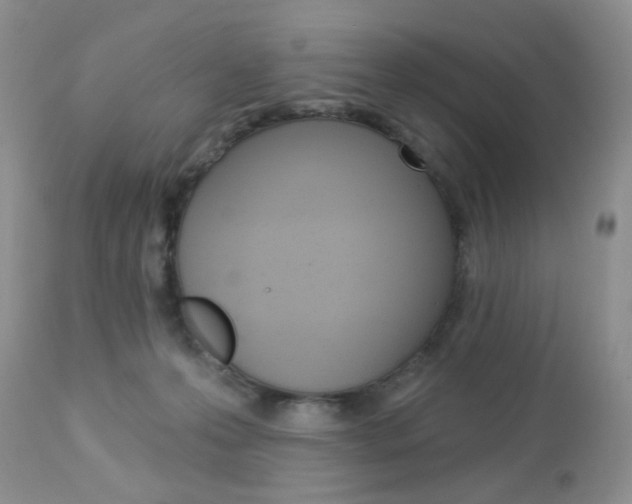 X0000113100223200908281000