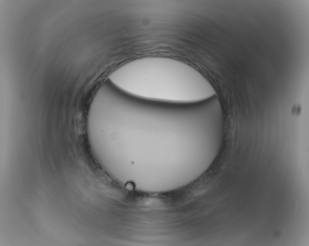 X0000113100224200908281000