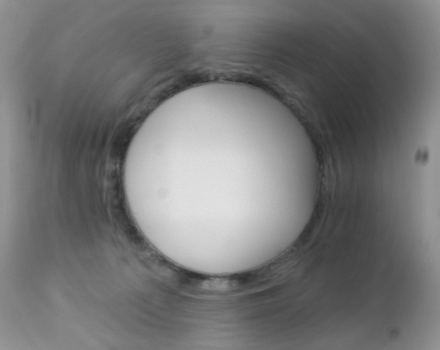 X0000113100225200908281000