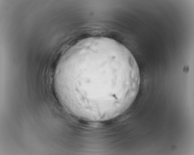 X0000113100226200908281000