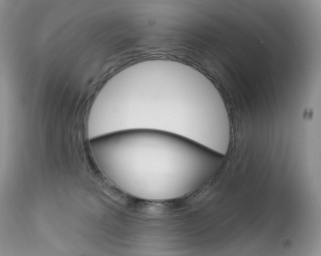 X0000113100229200908281000