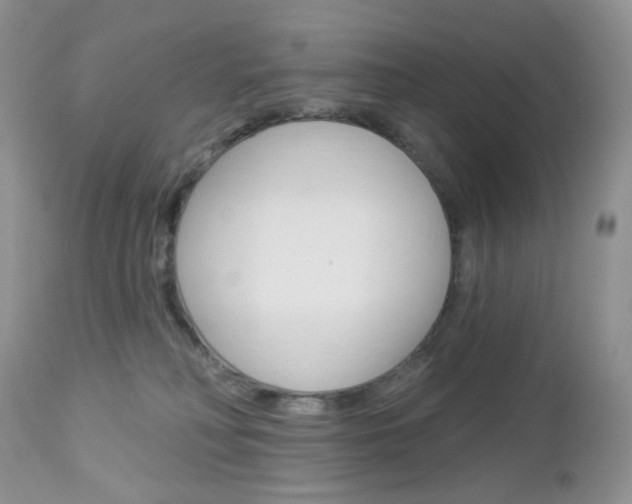 X0000113100230200908280959