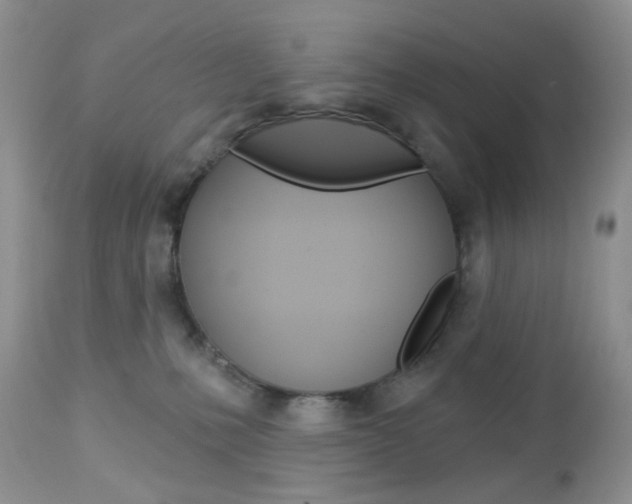 X0000113100231200908280959