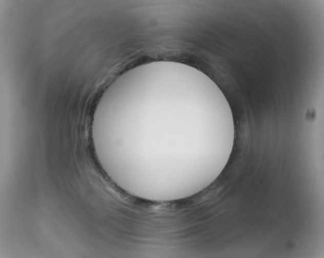 X0000113100232200908280959