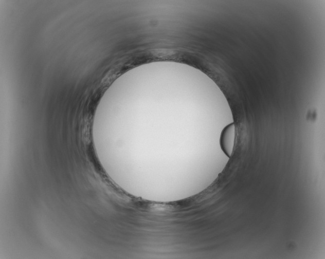 X0000113100234200908280959