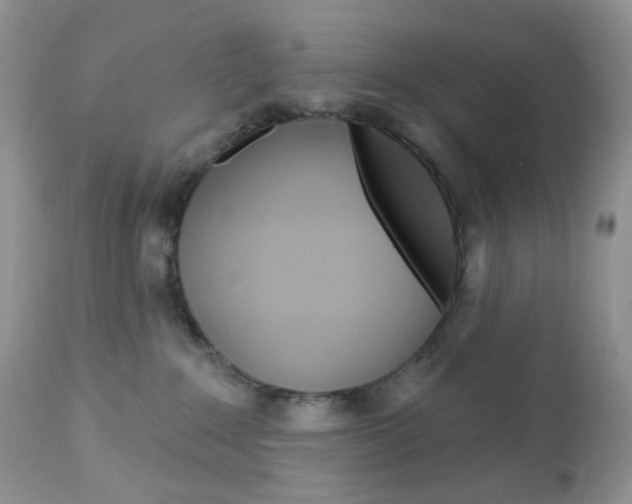 X0000113100235200908280959