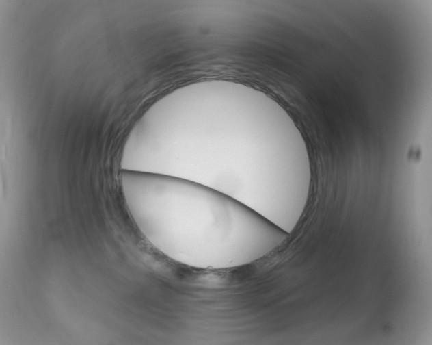X0000113100236200908280959