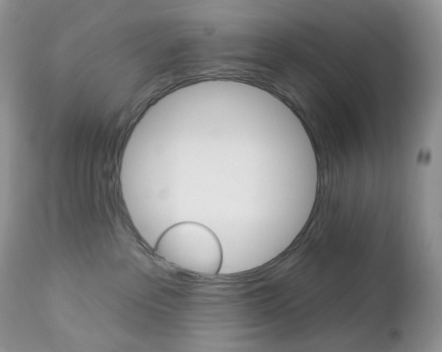 X0000113100237200908280959