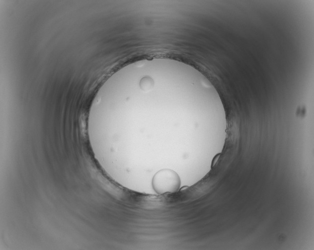 X0000113100238200908280959