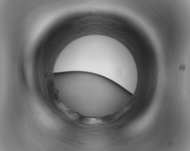 X0000113100239200908280959