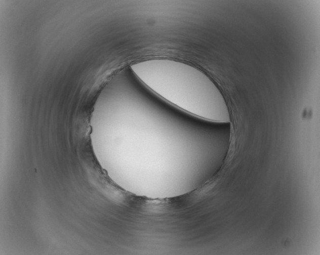 X0000113100240200908280959