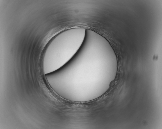 X0000113100242200908280959