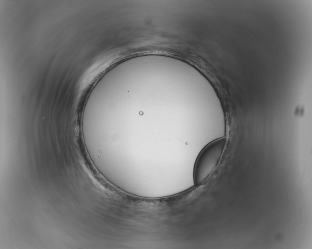 X0000113100245200908280959