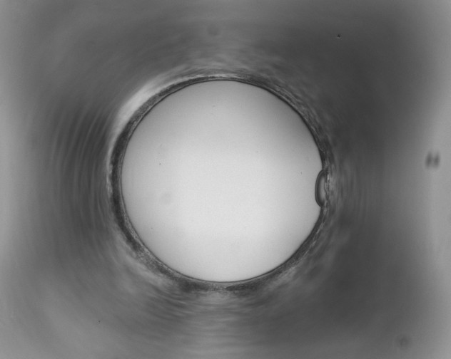 X0000113100246200908280959